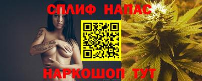 хмурый Дубна