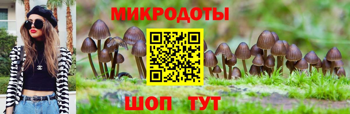 дарнет шоп  Галлюциногенные грибы мицелий  Вход с VPN  Москва 